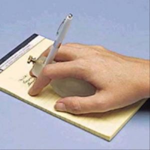 Writing Bird