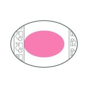 PolyMem QuadroFoam Shapes by Ferris : 3.5in. X 5in. Oval - Box of 15
