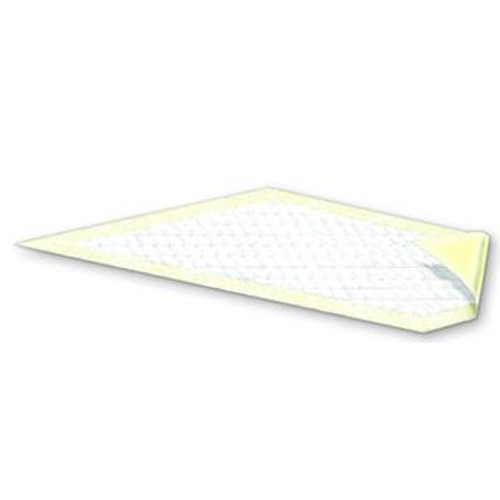 PNG ATTENDS Night Preserver Underpads : 23" x 36" Case of 15