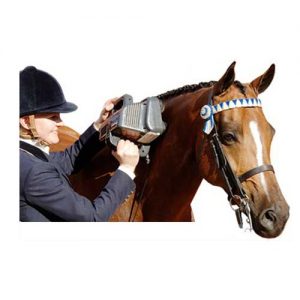Thumper Equine Massager