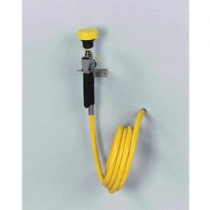 Bradley Eye/Face Wall Mounted Drench Shower