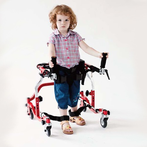 Star Posterior Adult Gait Trainer