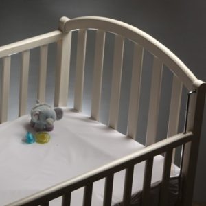 Bed Bug Mattress Encasement