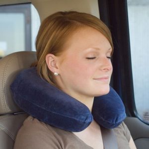 Memory Travel Core Pillow