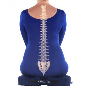 Kabooti Ice Coccyx Cushion