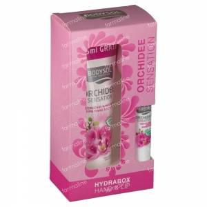 Bodysol Hydrabox Orchid Hands & Lips 2 St
