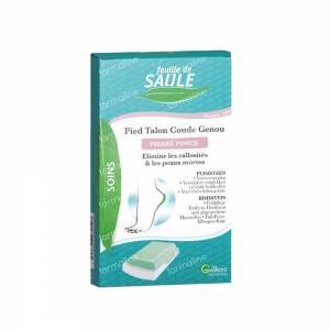 Feuille De Saule Pedisaule Maxipierre 1