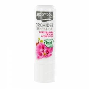 Bodysol Lipstick Orchid 4,80 g